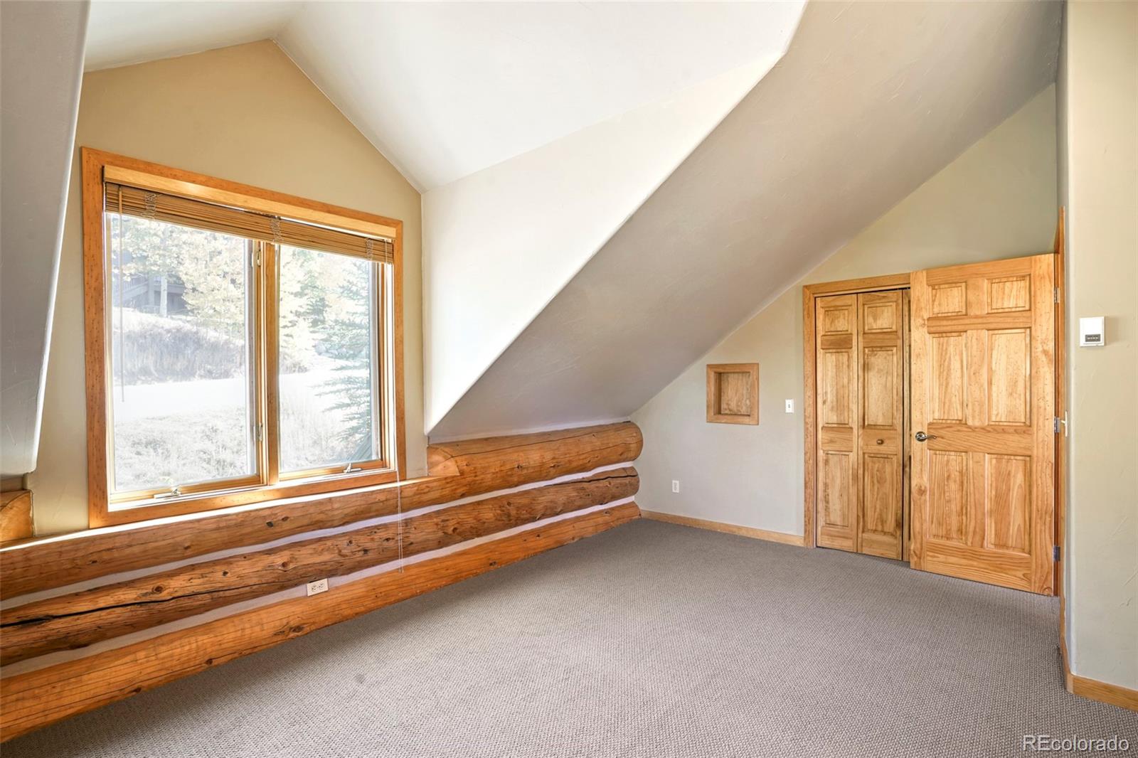 MLS Image #25 for 360  hummingbird circle,silverthorne, Colorado