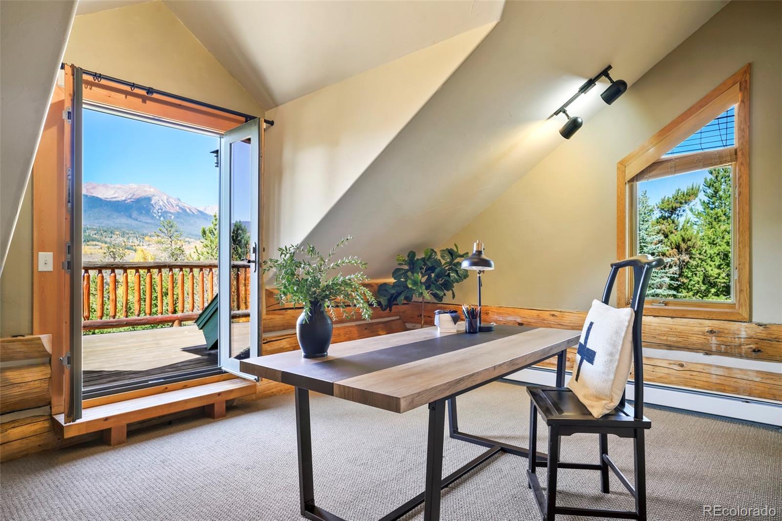 MLS Image #27 for 360  hummingbird circle,silverthorne, Colorado