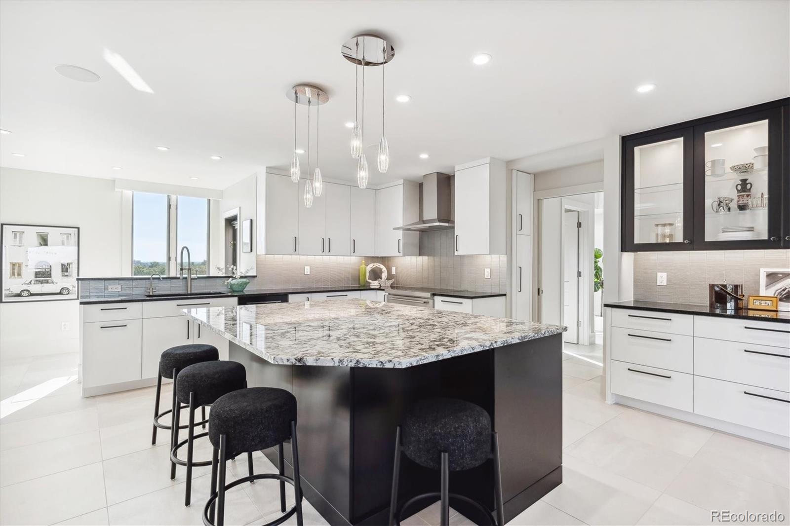MLS Image #10 for 1133  race street,denver, Colorado