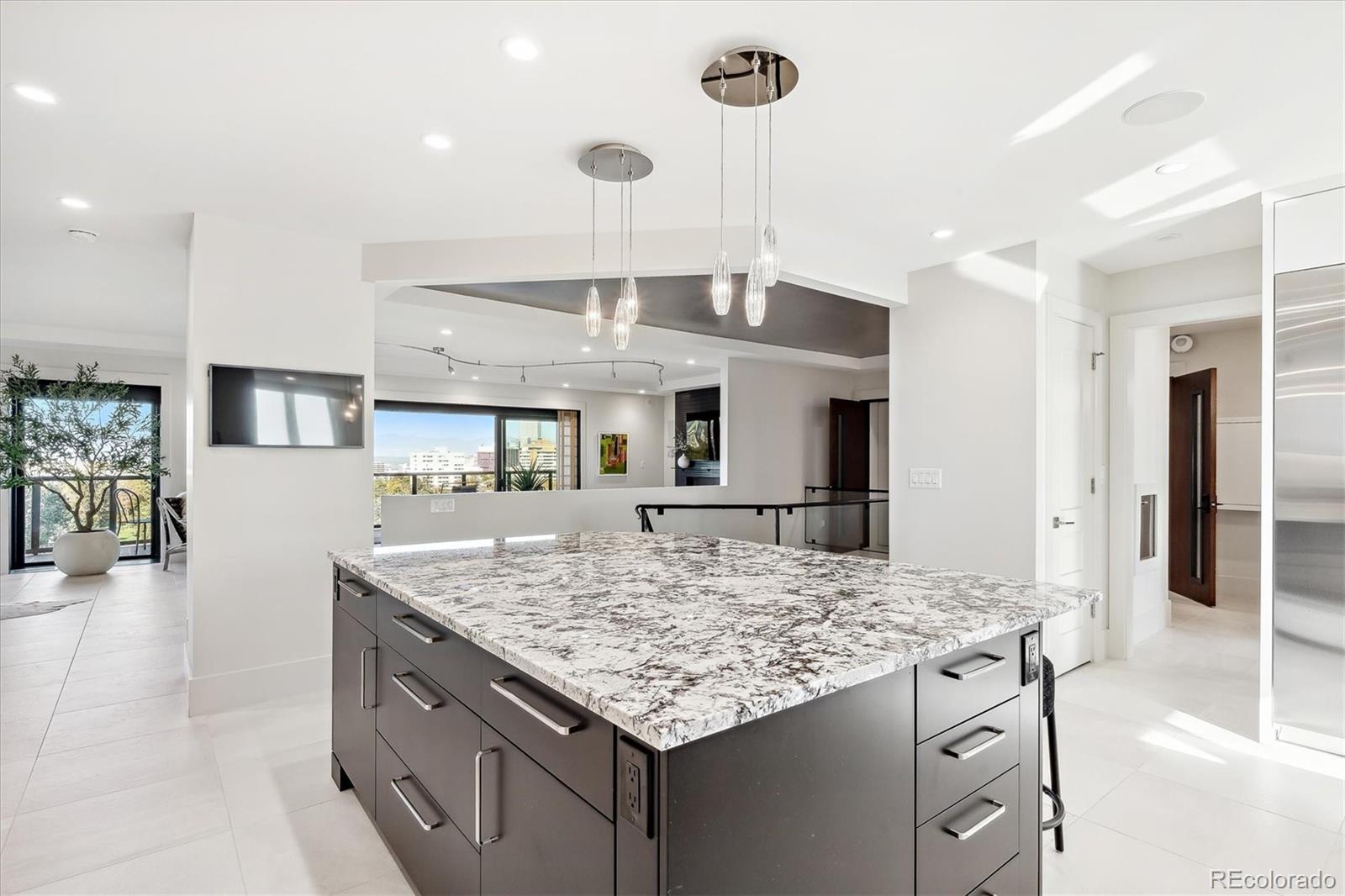 MLS Image #11 for 1133  race street,denver, Colorado