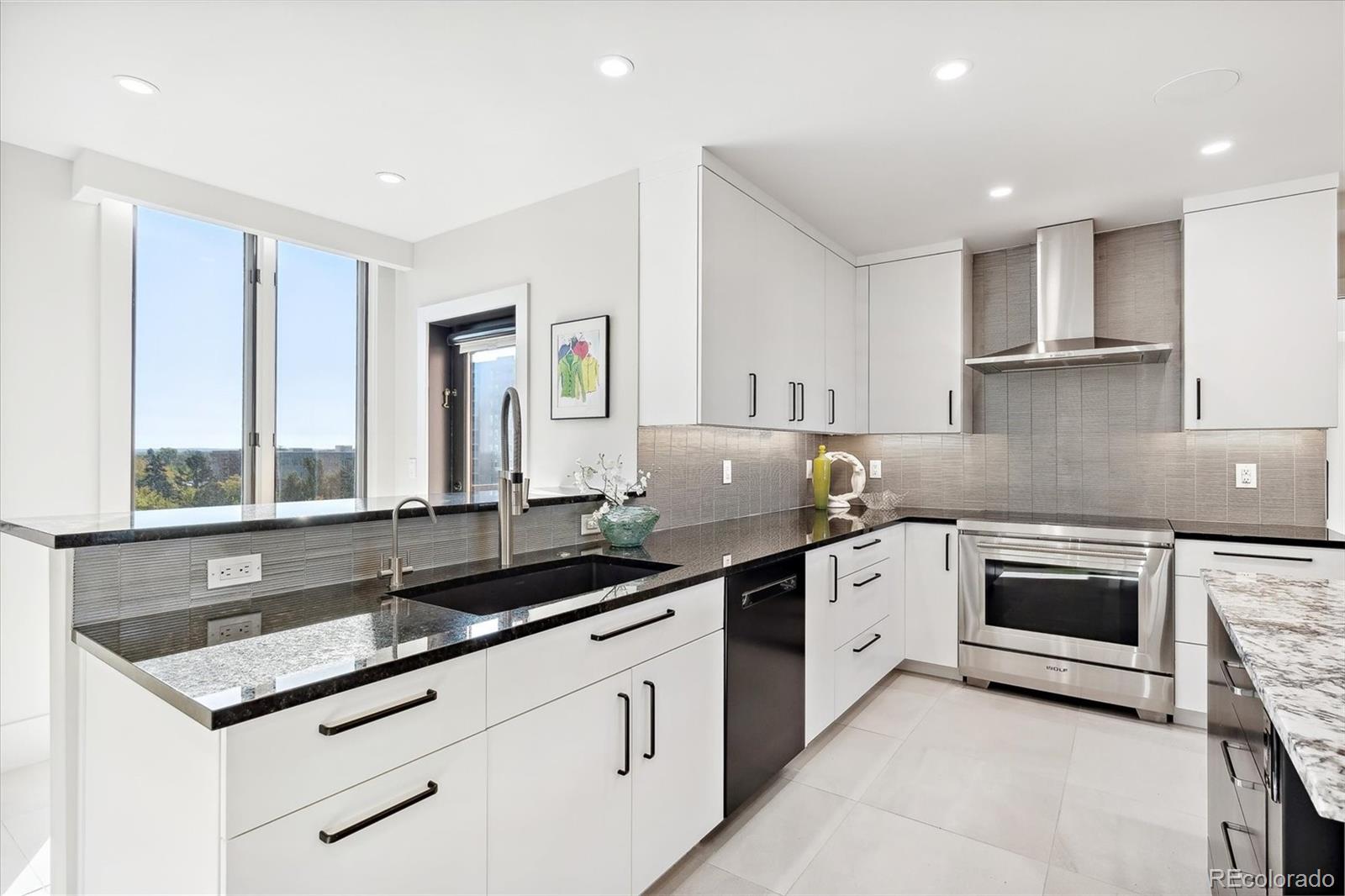 MLS Image #12 for 1133  race street,denver, Colorado