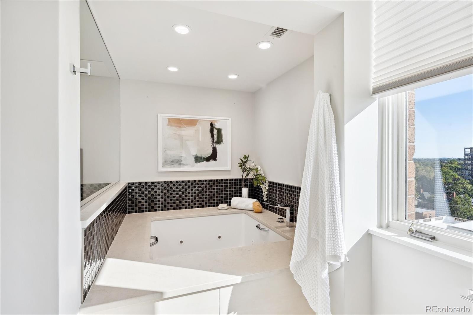 MLS Image #23 for 1133  race street,denver, Colorado