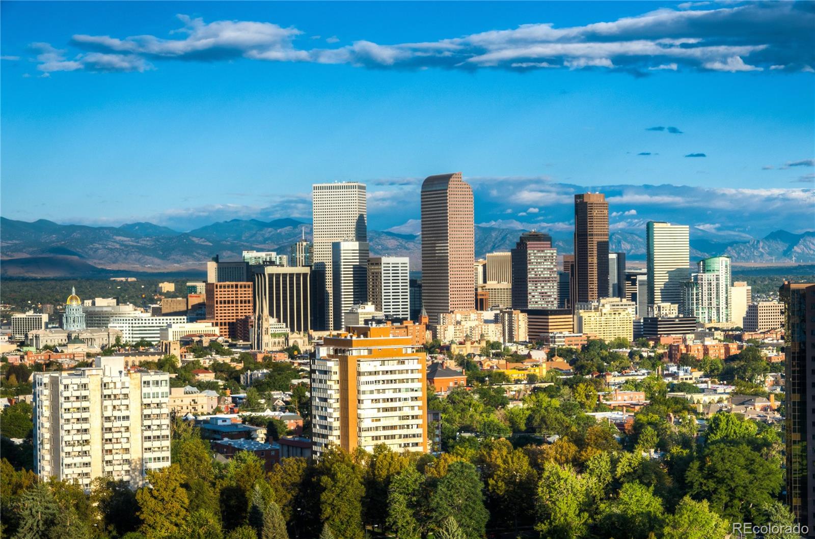 MLS Image #47 for 1133  race street,denver, Colorado