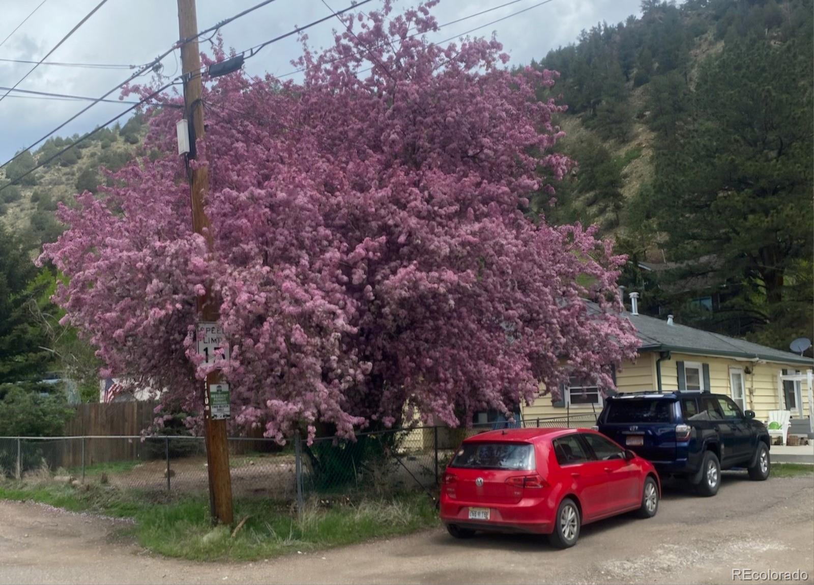 MLS Image #27 for 2136  virginia street,idaho springs, Colorado