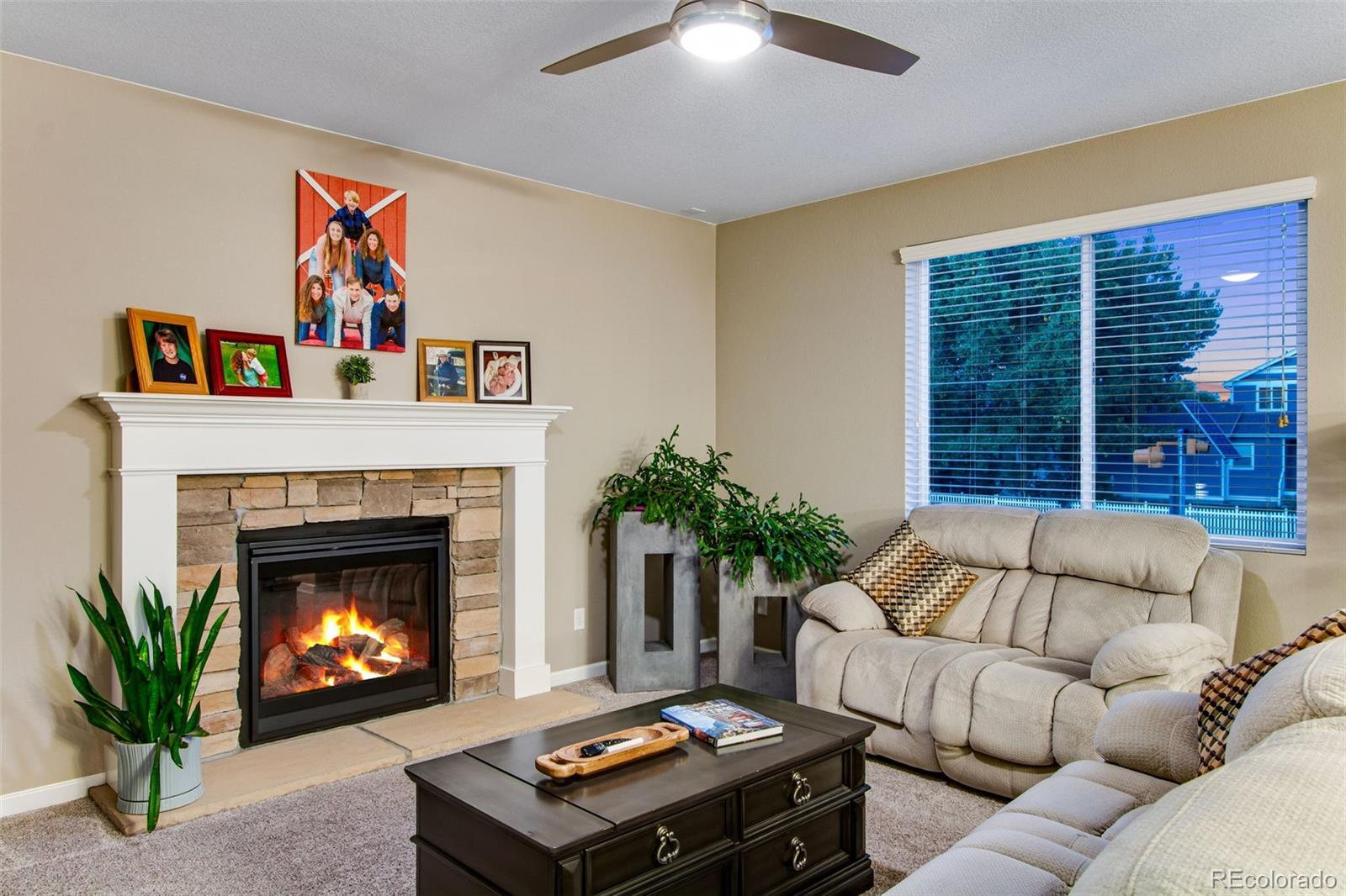 MLS Image #18 for 441  mannon drive,windsor, Colorado