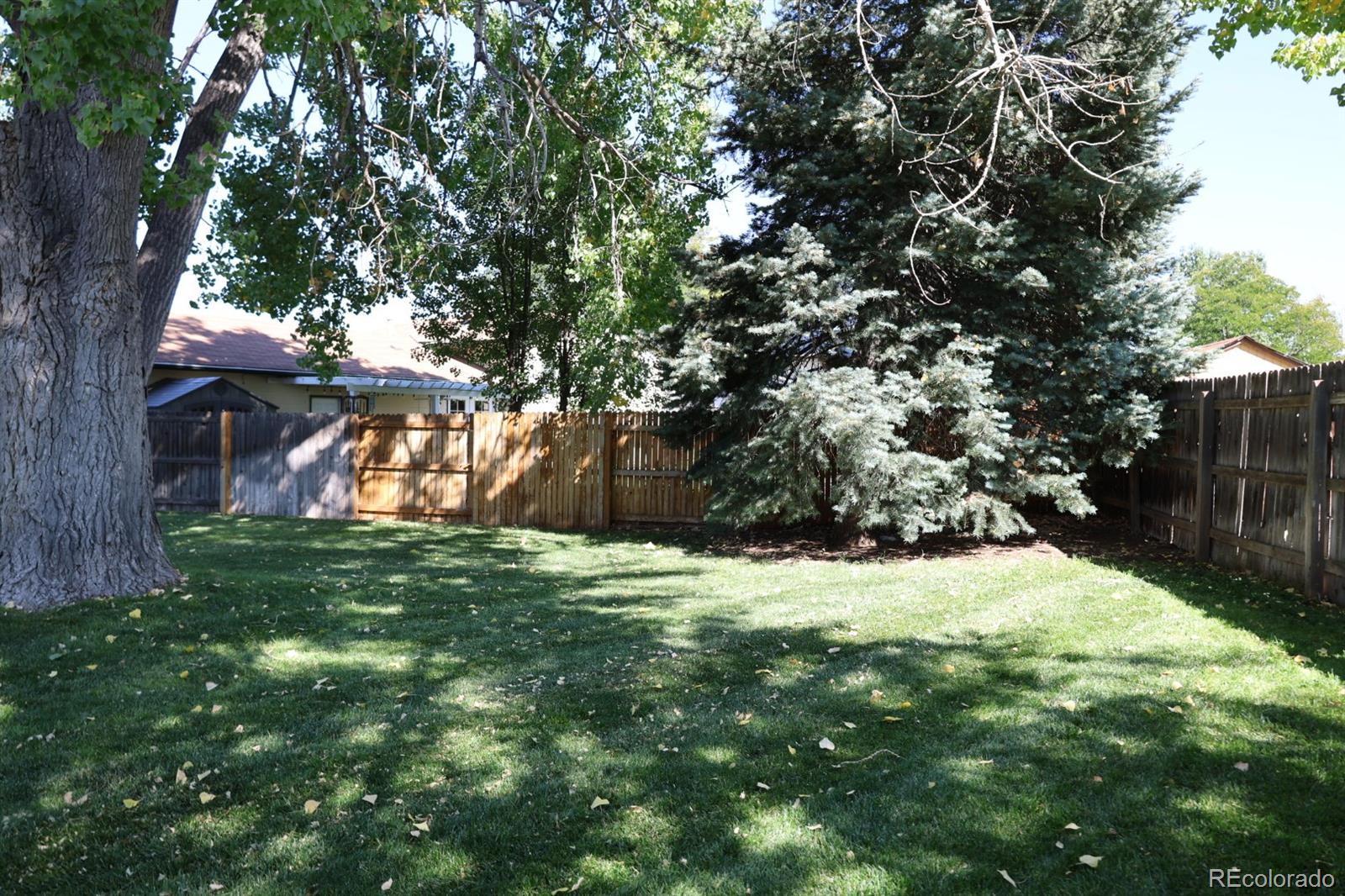 MLS Image #25 for 3558 s newland street,denver, Colorado
