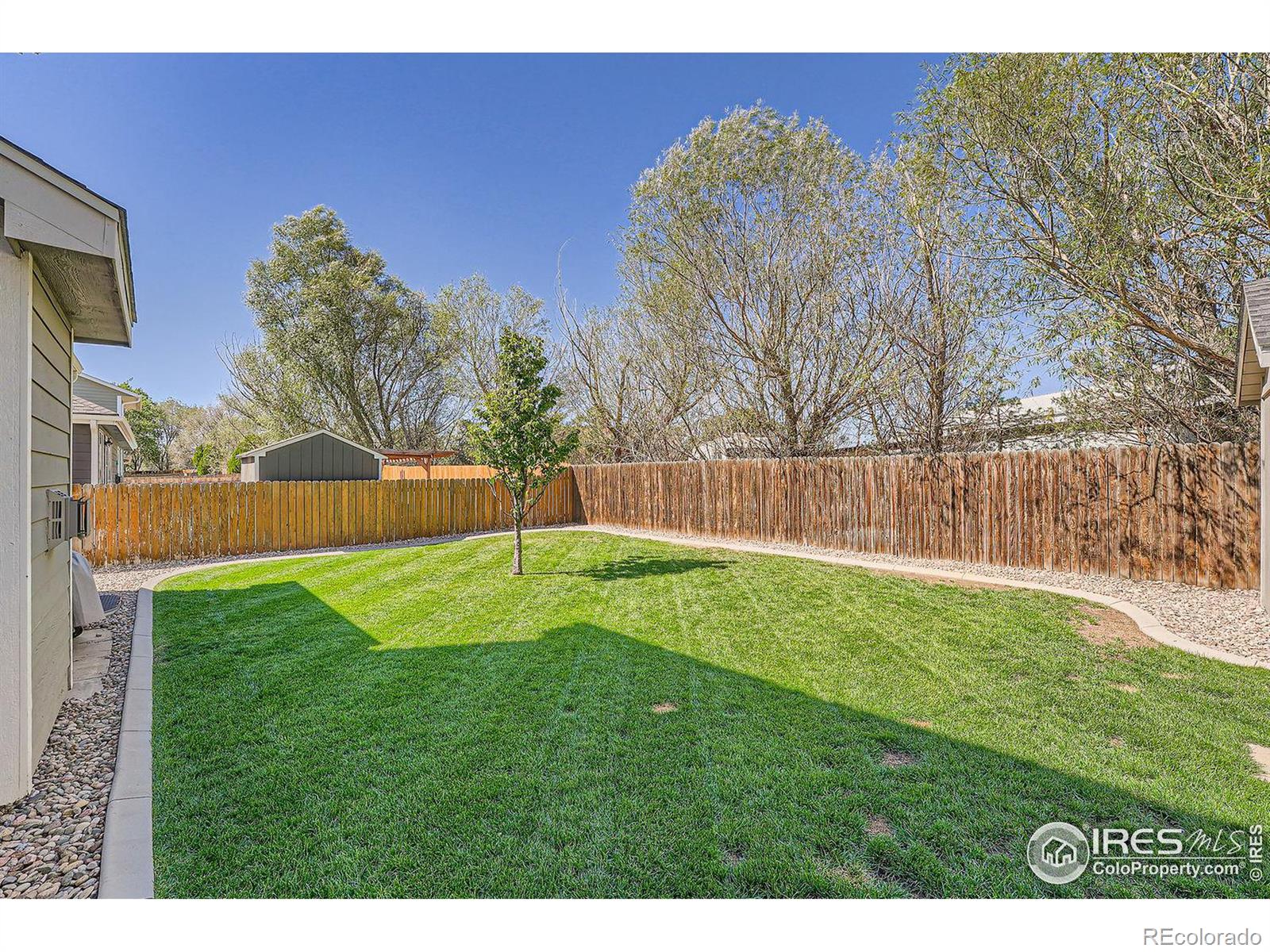 MLS Image #26 for 11447  daisy court,firestone, Colorado