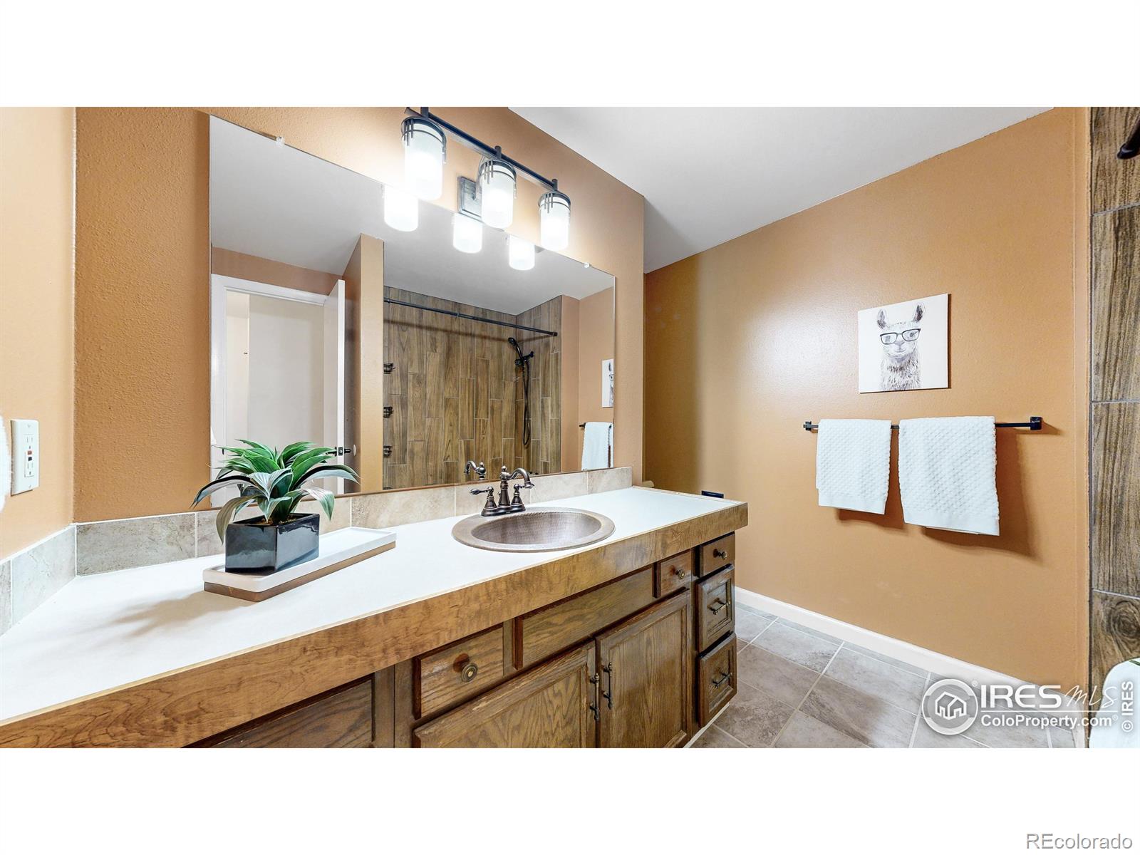 MLS Image #17 for 2525  fairplay drive,loveland, Colorado