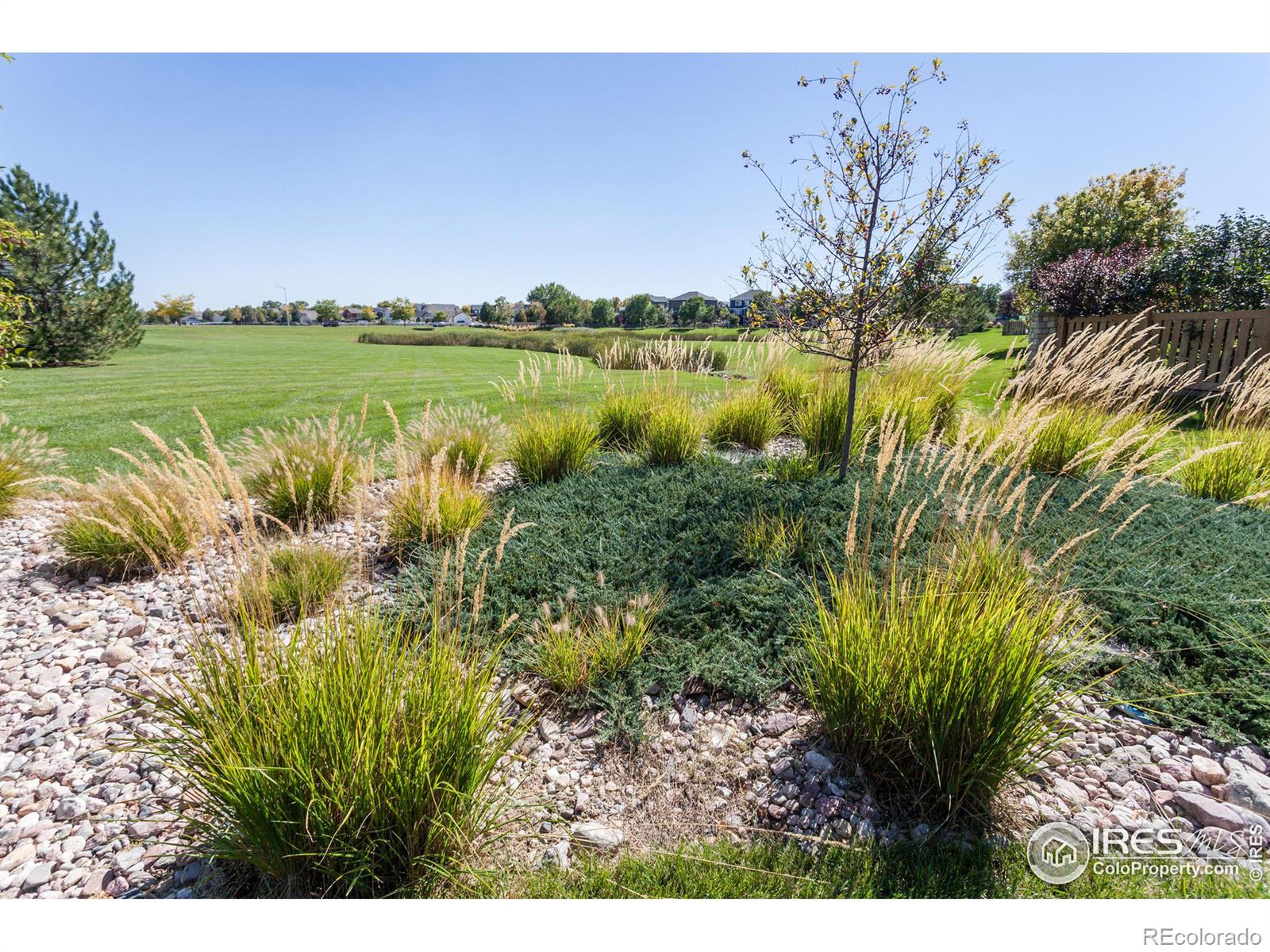 MLS Image #31 for 1557  edenbridge drive,windsor, Colorado