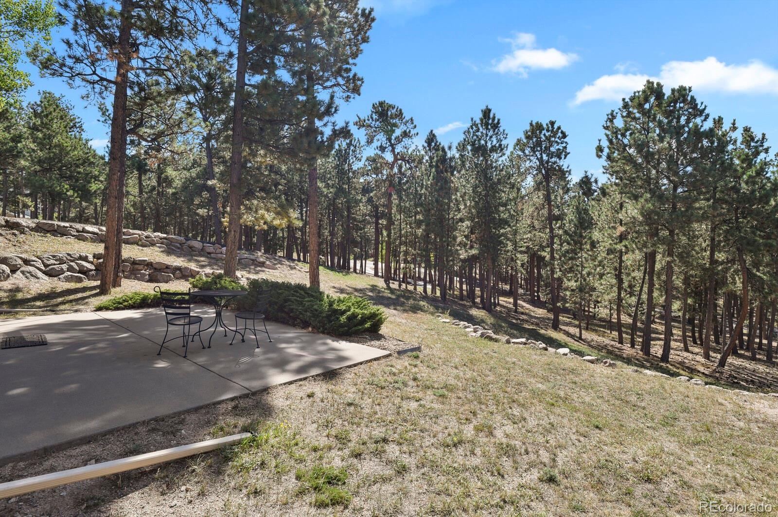 MLS Image #29 for 810  dolan drive,monument, Colorado