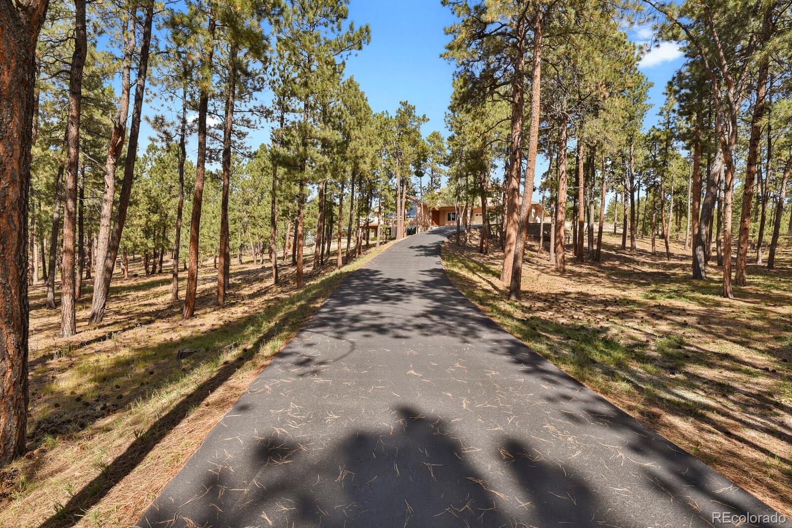 MLS Image #4 for 810  dolan drive,monument, Colorado
