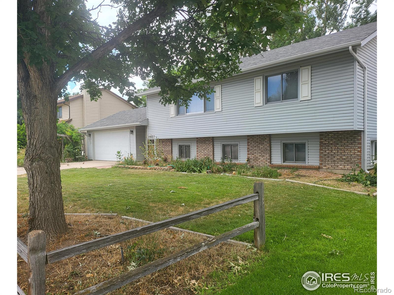 MLS Image #3 for 2937  sombrero lane,fort collins, Colorado