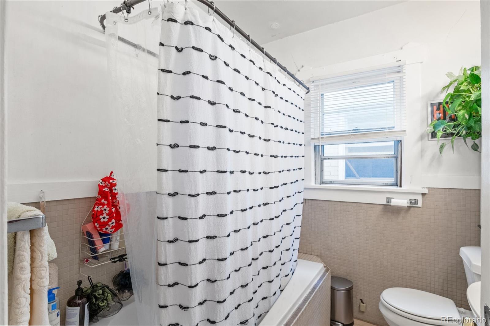 MLS Image #16 for 2225 e 14th avenue,denver, Colorado