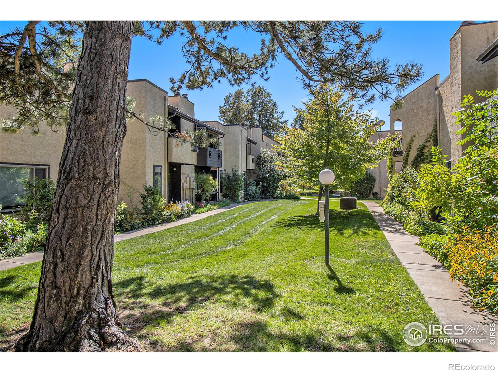 MLS Image #27 for 2984  shady hollow,boulder, Colorado