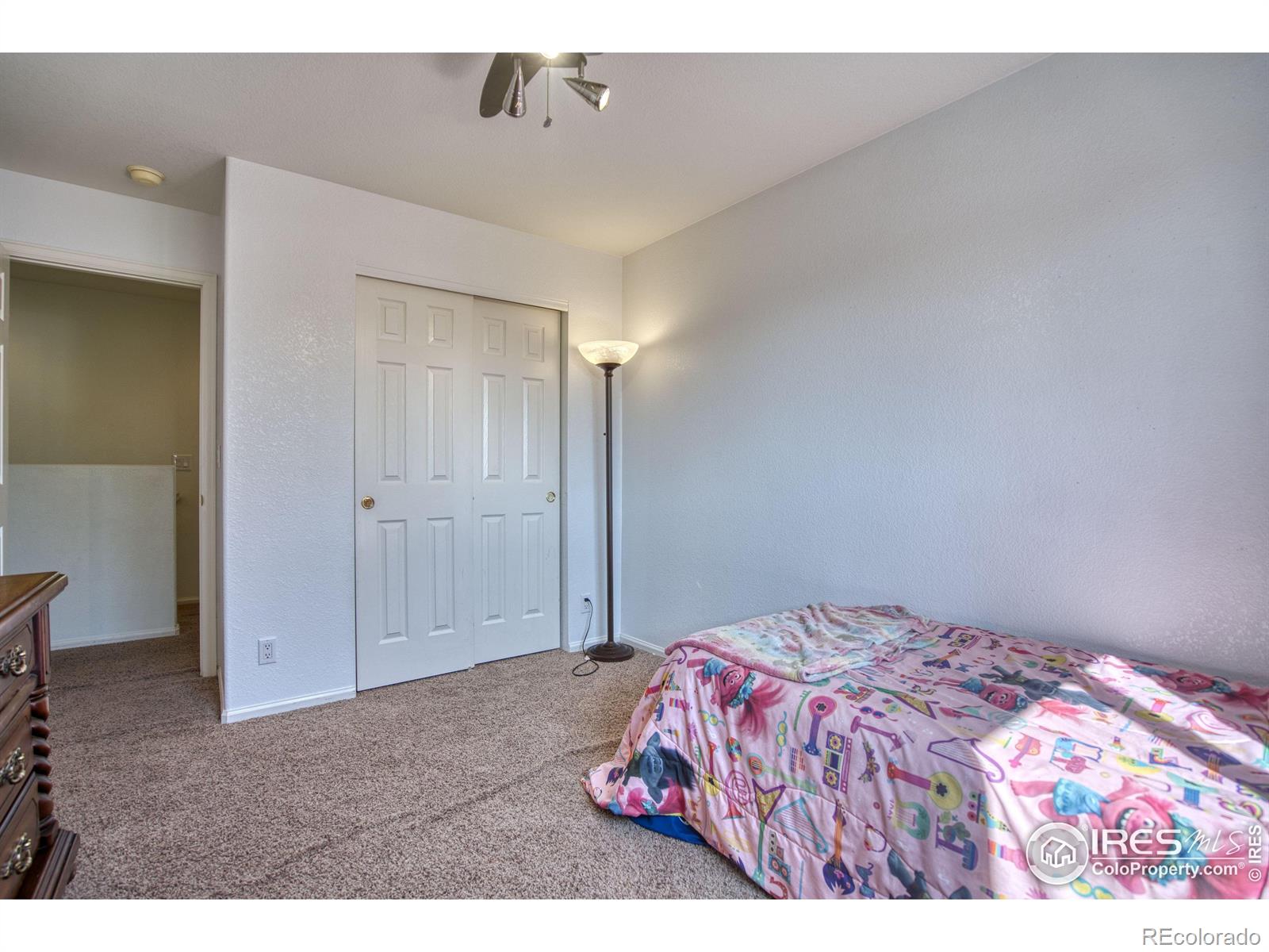 MLS Image #17 for 13872  linden court,thornton, Colorado