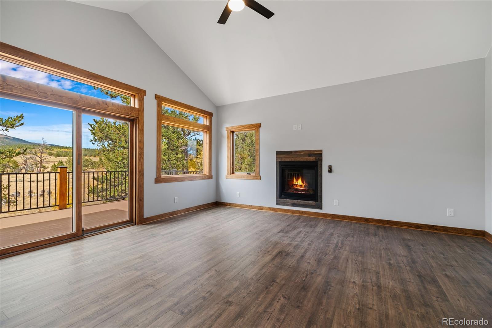 MLS Image #12 for 49  stellar jay way,fairplay, Colorado