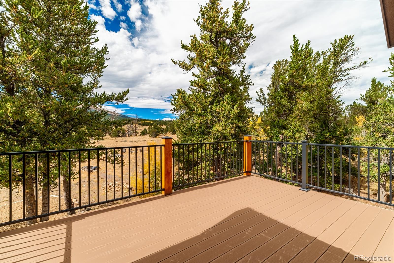 MLS Image #14 for 49  stellar jay way,fairplay, Colorado