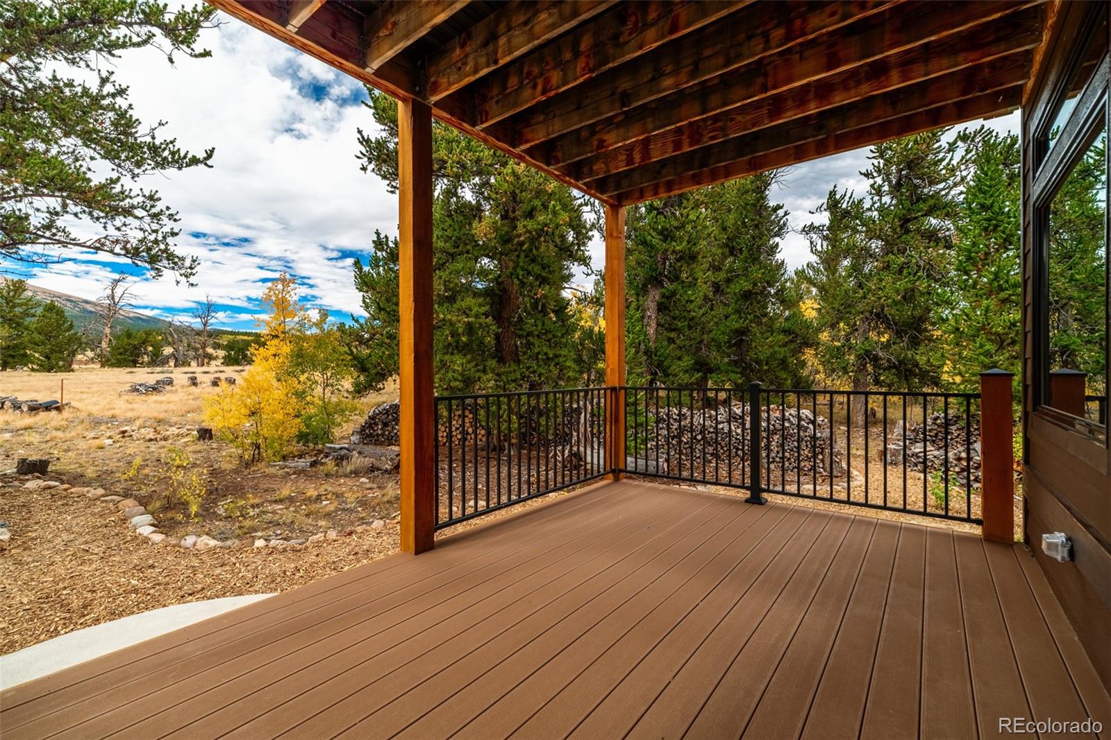 MLS Image #9 for 49  stellar jay way,fairplay, Colorado