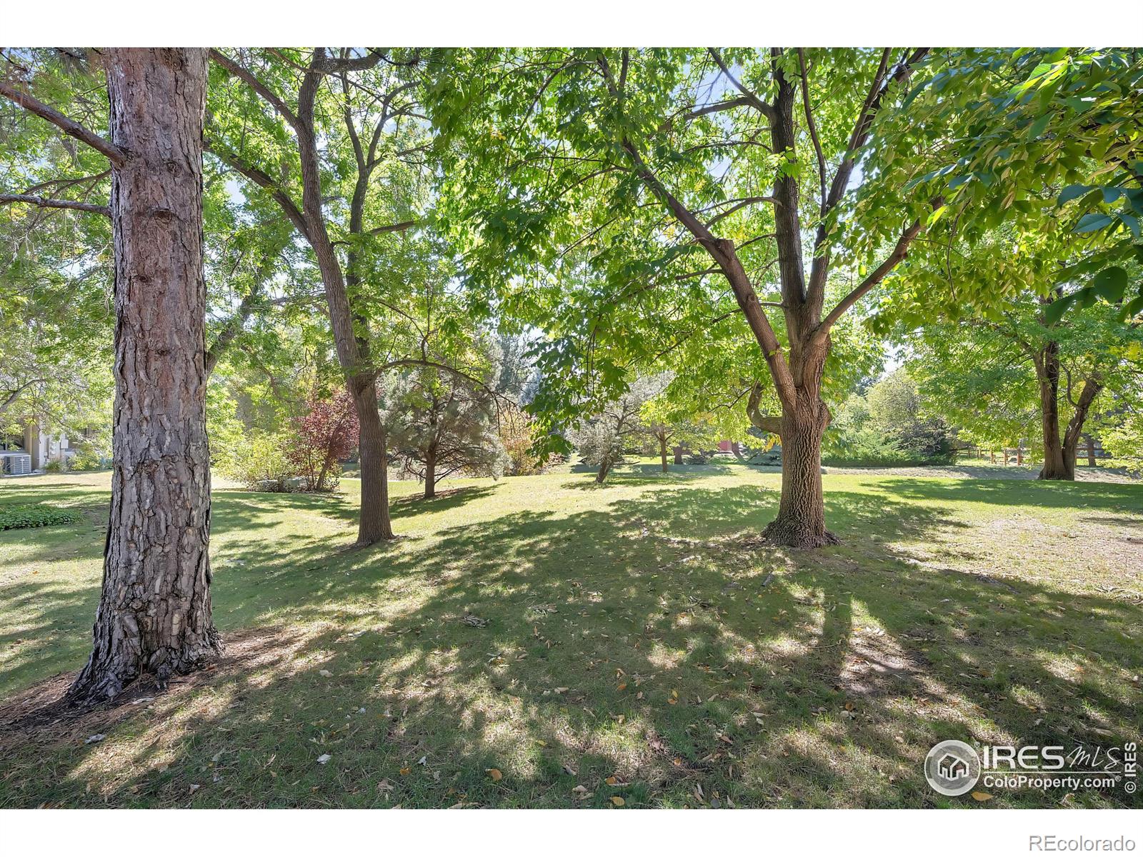 MLS Image #15 for 4638  burgundy lane,boulder, Colorado