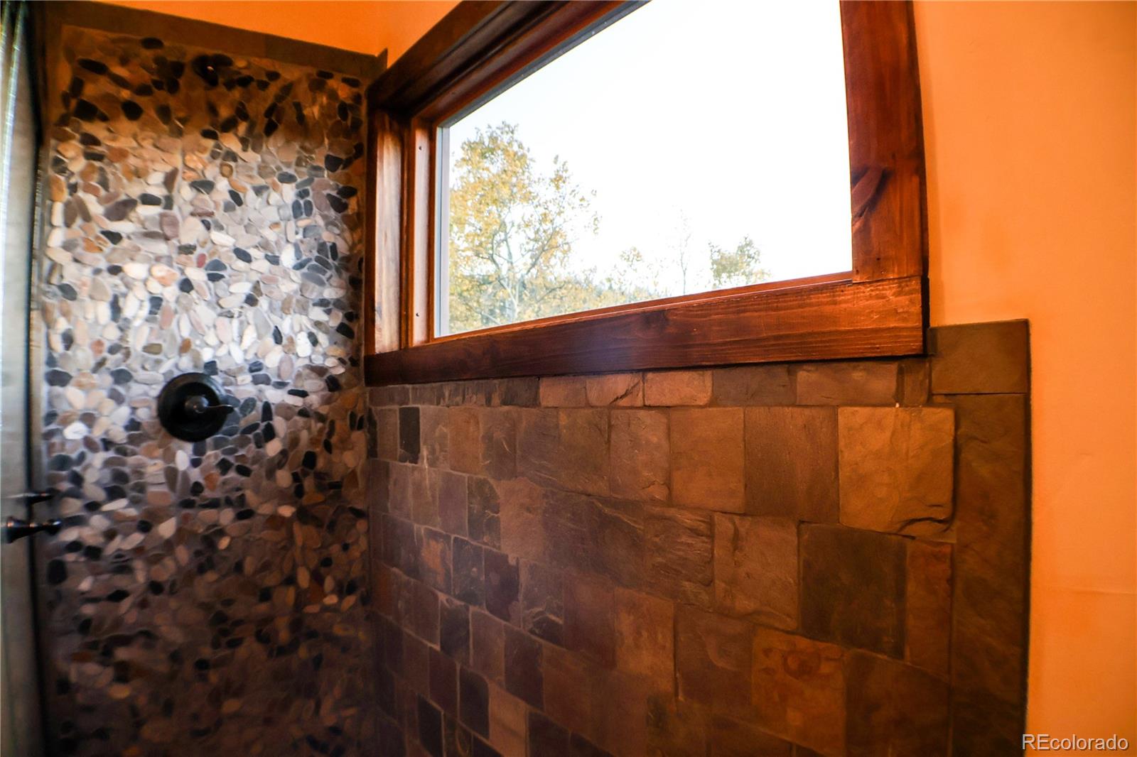 MLS Image #20 for 1528  chinook road,idaho springs, Colorado