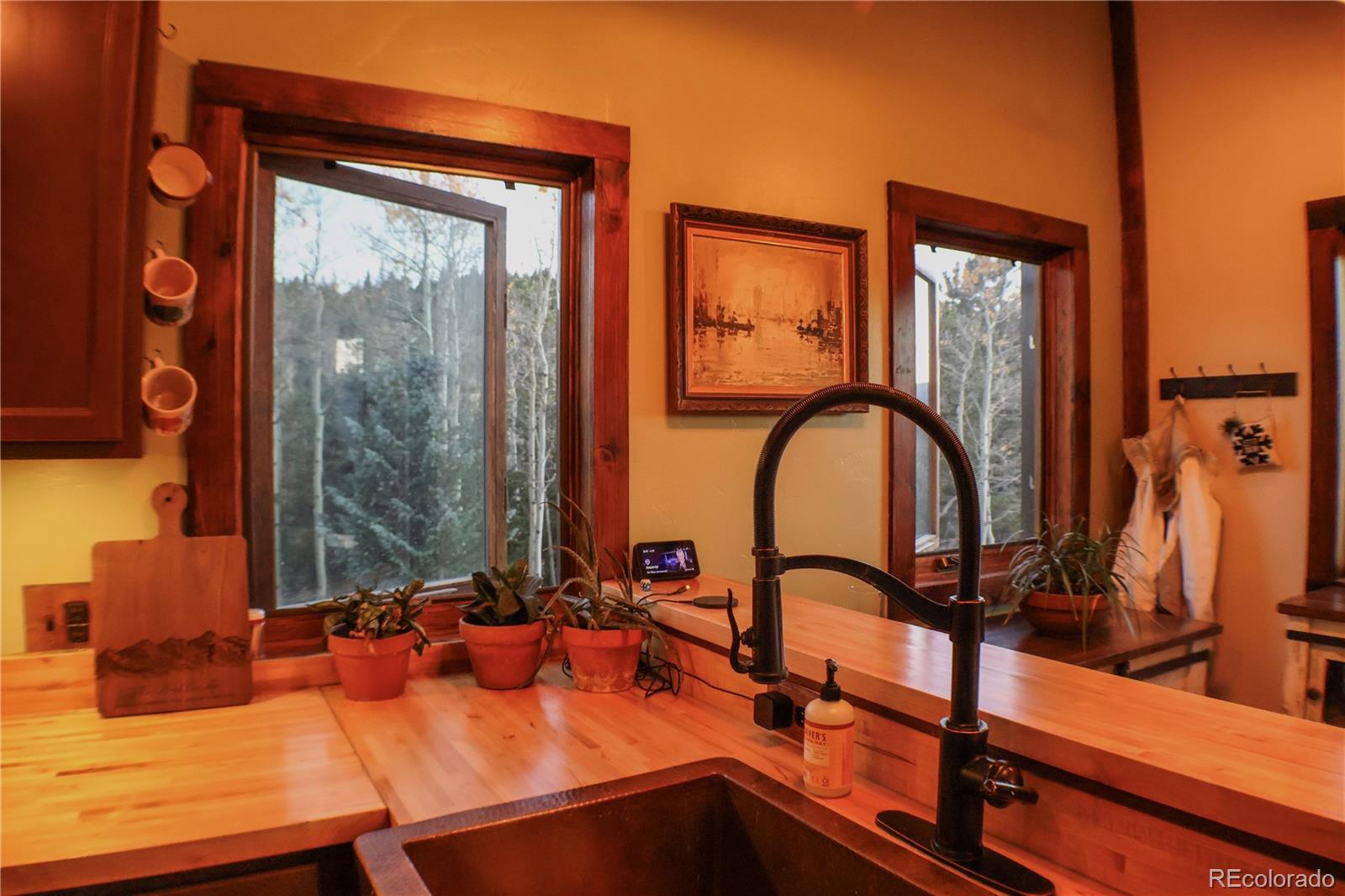 MLS Image #4 for 1528  chinook road,idaho springs, Colorado