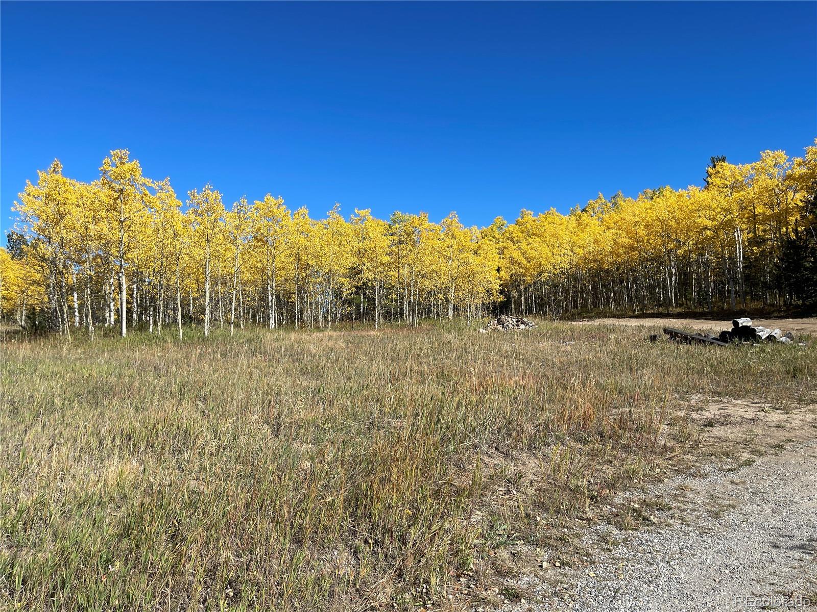 MLS Image #42 for 1528  chinook road,idaho springs, Colorado