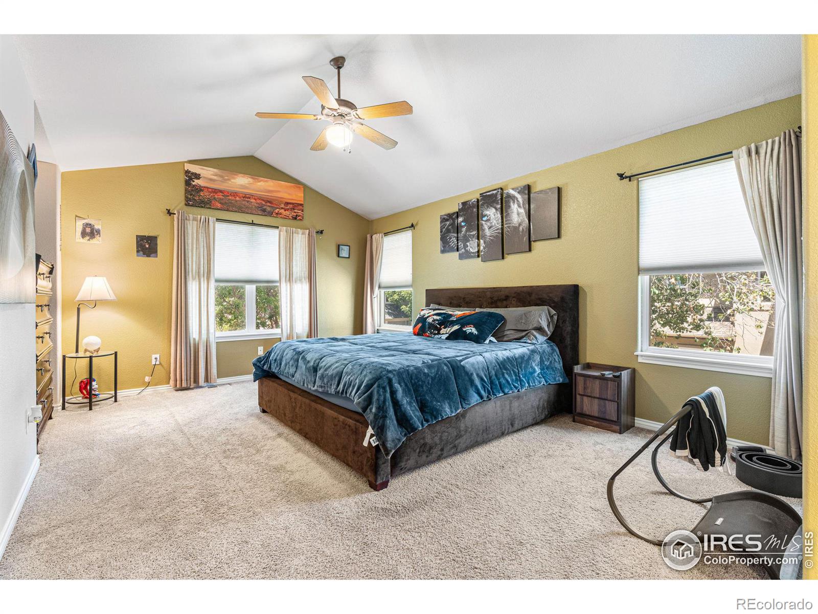 MLS Image #18 for 1214  della street,longmont, Colorado