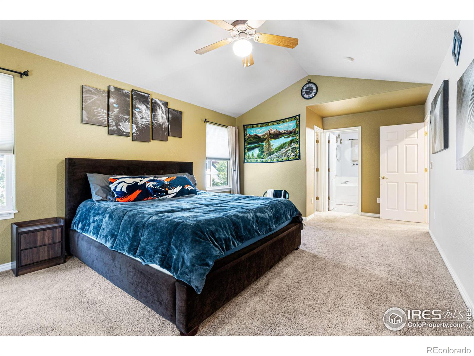 MLS Image #20 for 1214  della street,longmont, Colorado