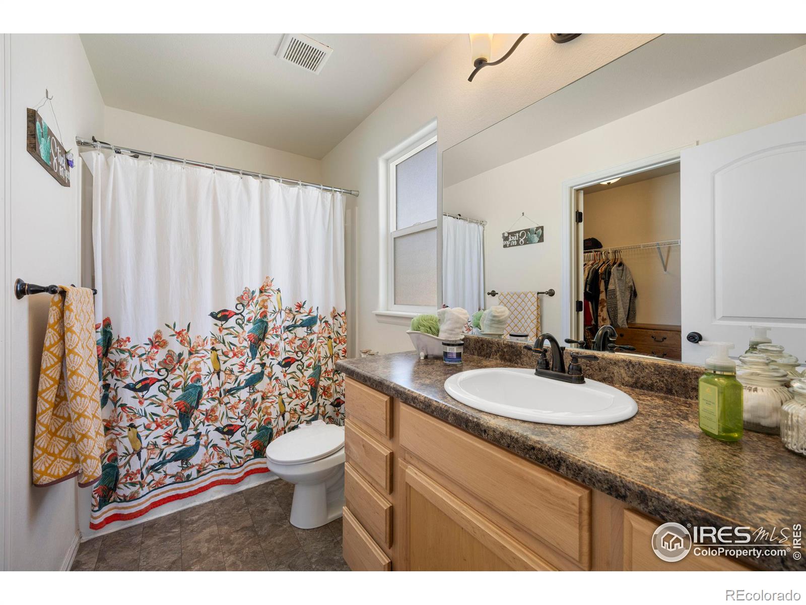 MLS Image #20 for 7542  final turn drive,wellington, Colorado