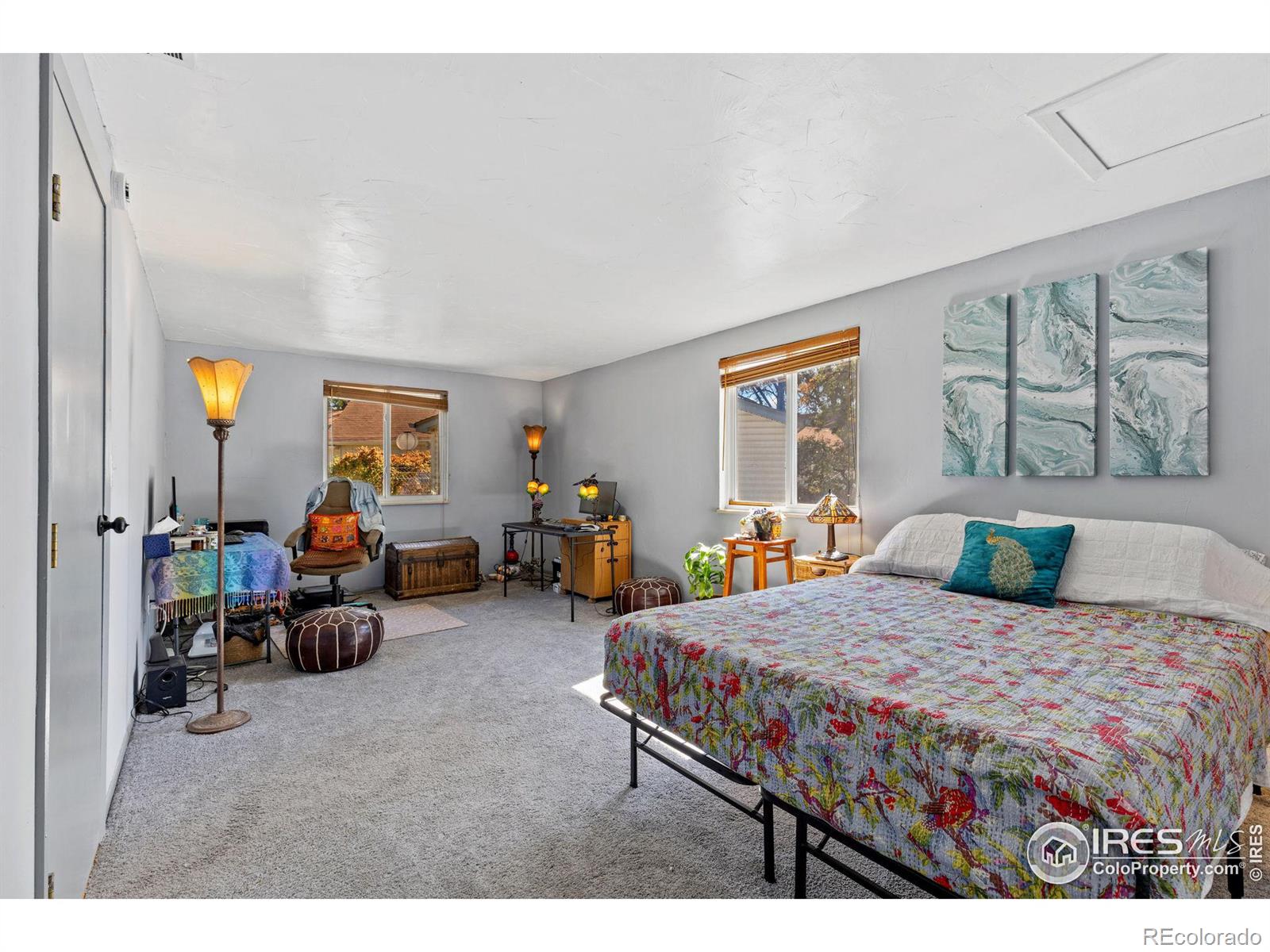 MLS Image #10 for 144  telluride place,longmont, Colorado