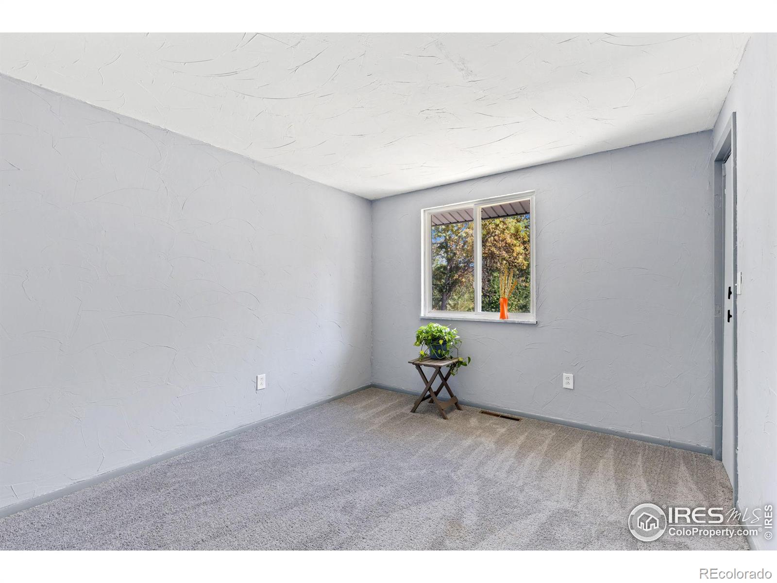 MLS Image #12 for 144  telluride place,longmont, Colorado