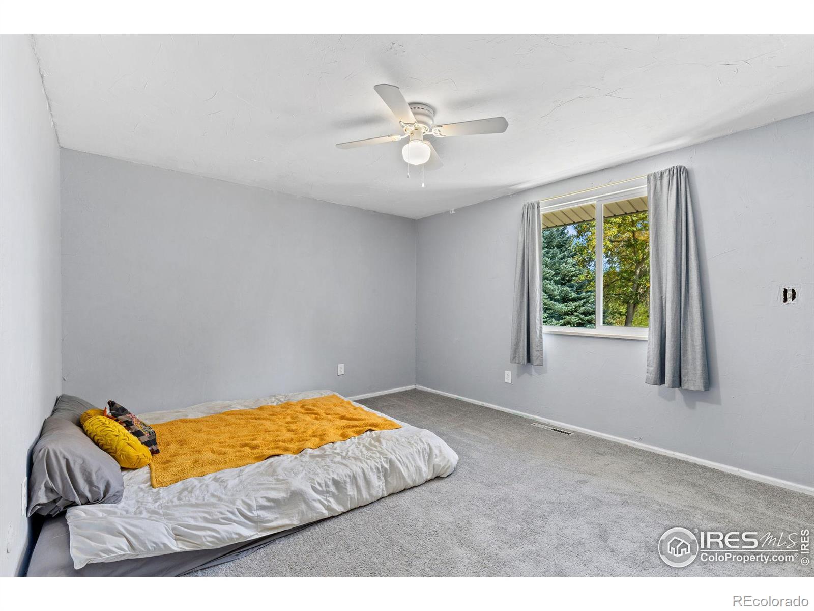 MLS Image #13 for 144  telluride place,longmont, Colorado