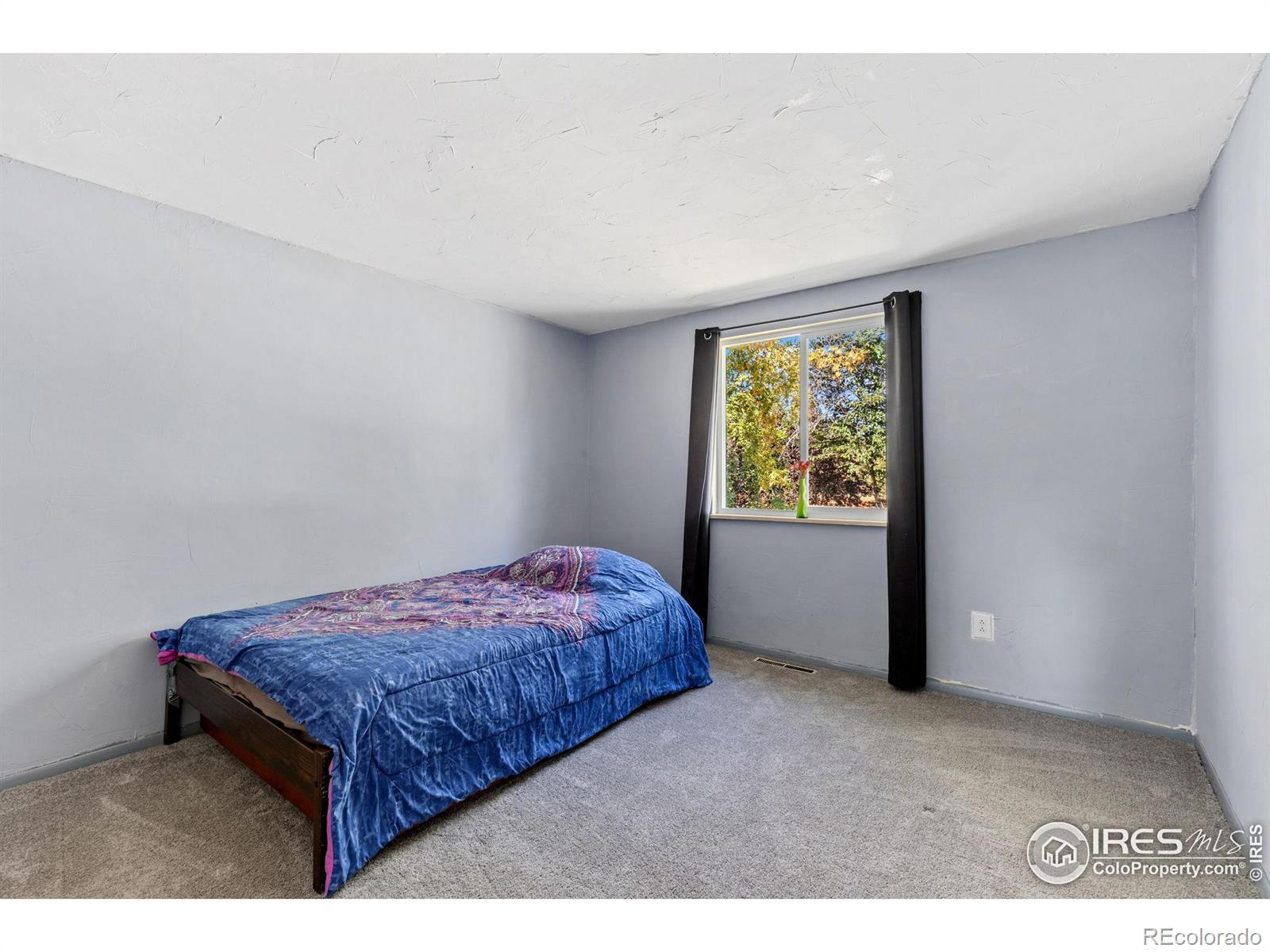 MLS Image #14 for 144  telluride place,longmont, Colorado