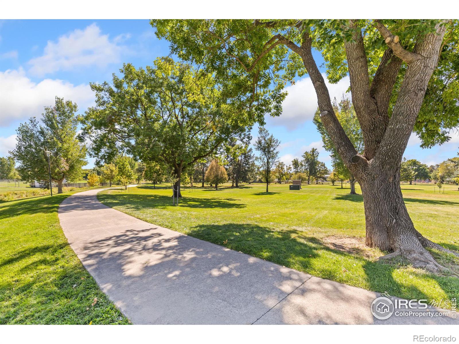 MLS Image #19 for 144  telluride place,longmont, Colorado