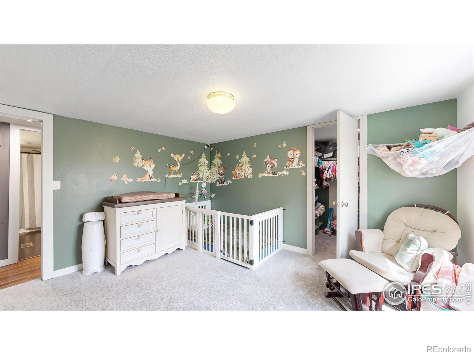 MLS Image #16 for 308  sorrel street,wellington, Colorado