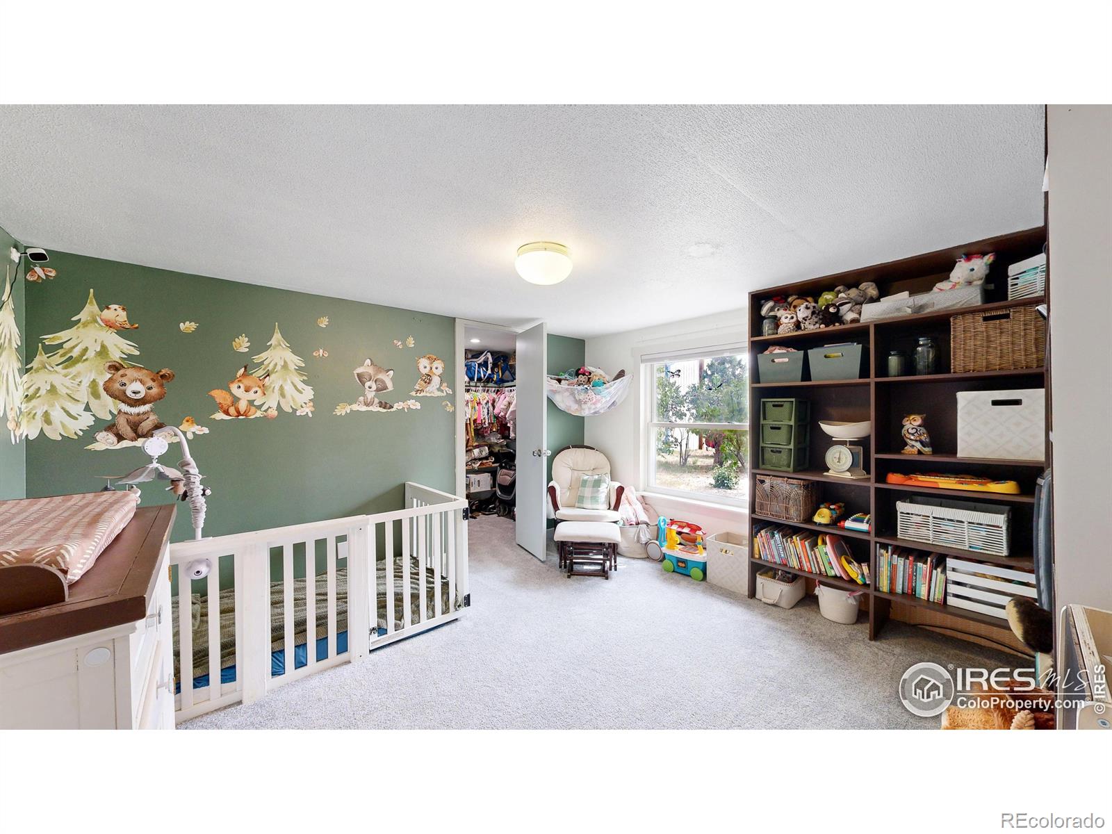 MLS Image #17 for 308  sorrel street,wellington, Colorado