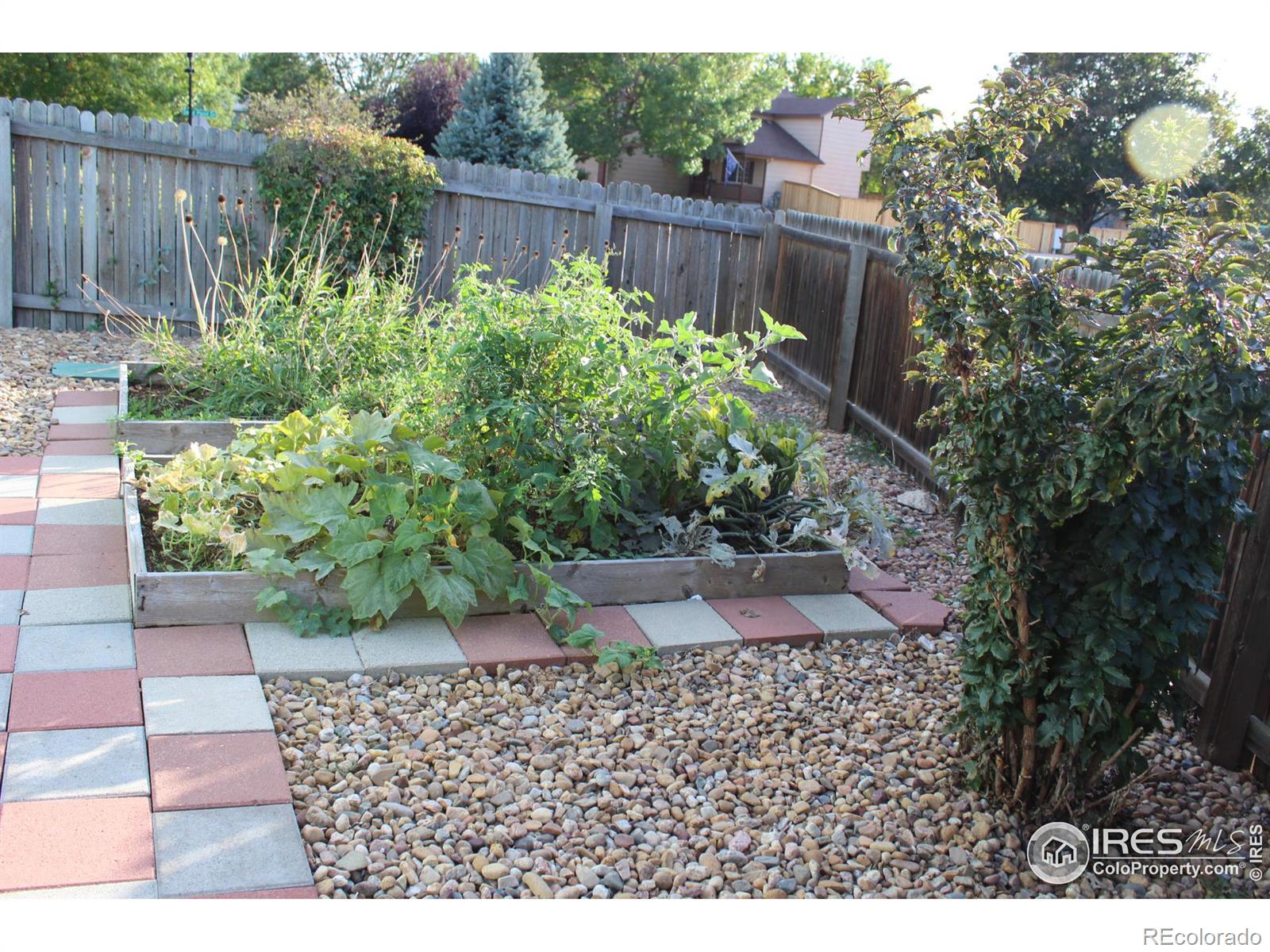 MLS Image #12 for 624  sandpoint drive,longmont, Colorado