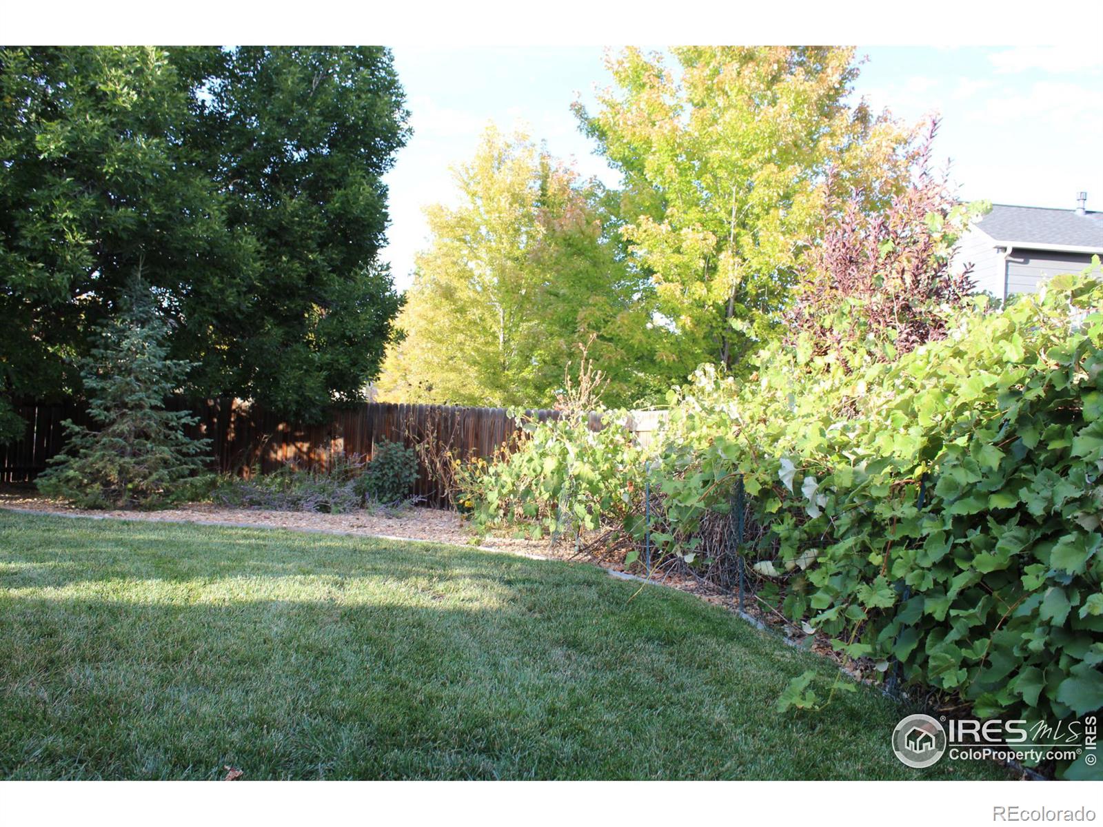 MLS Image #26 for 624  sandpoint drive,longmont, Colorado