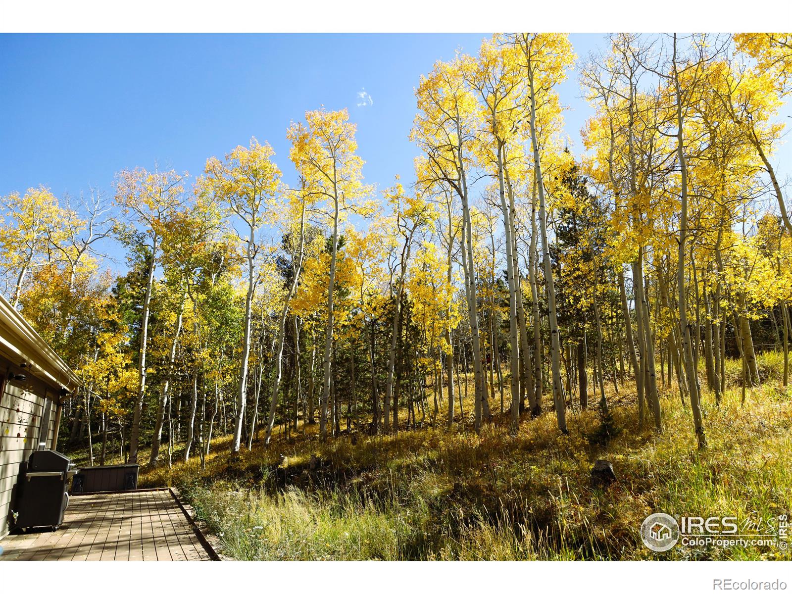 MLS Image #5 for 1136  highpoint circle,black hawk, Colorado