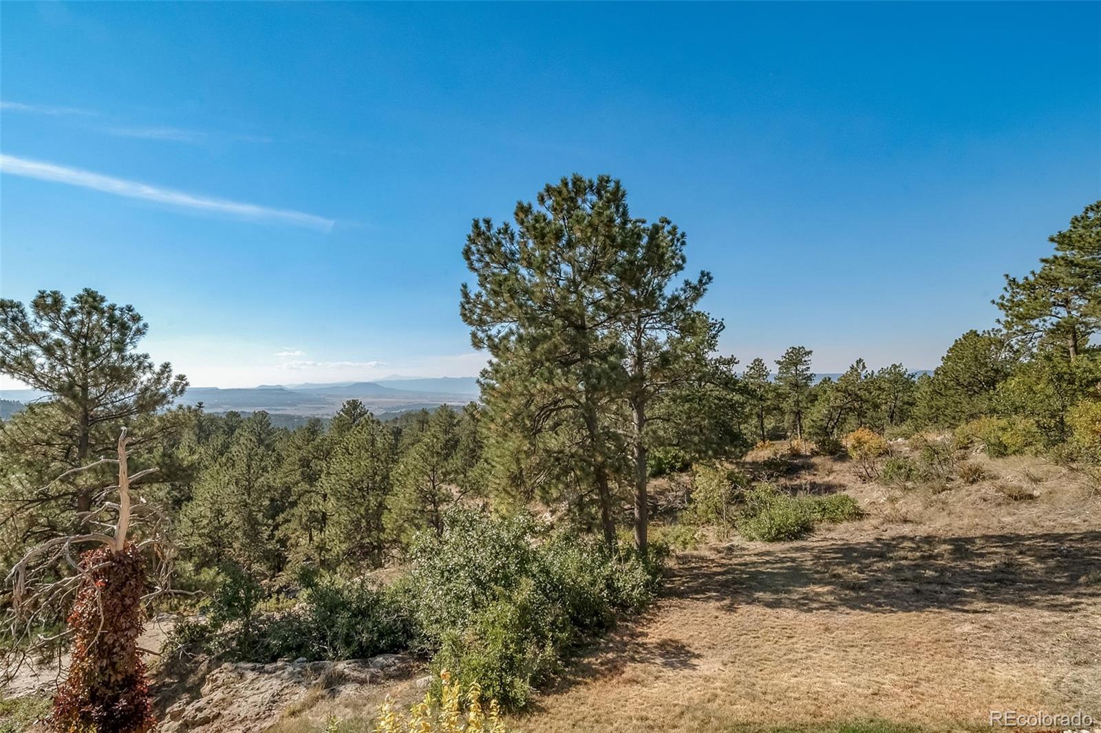 MLS Image #19 for 1459  pineridge lane,castle pines, Colorado