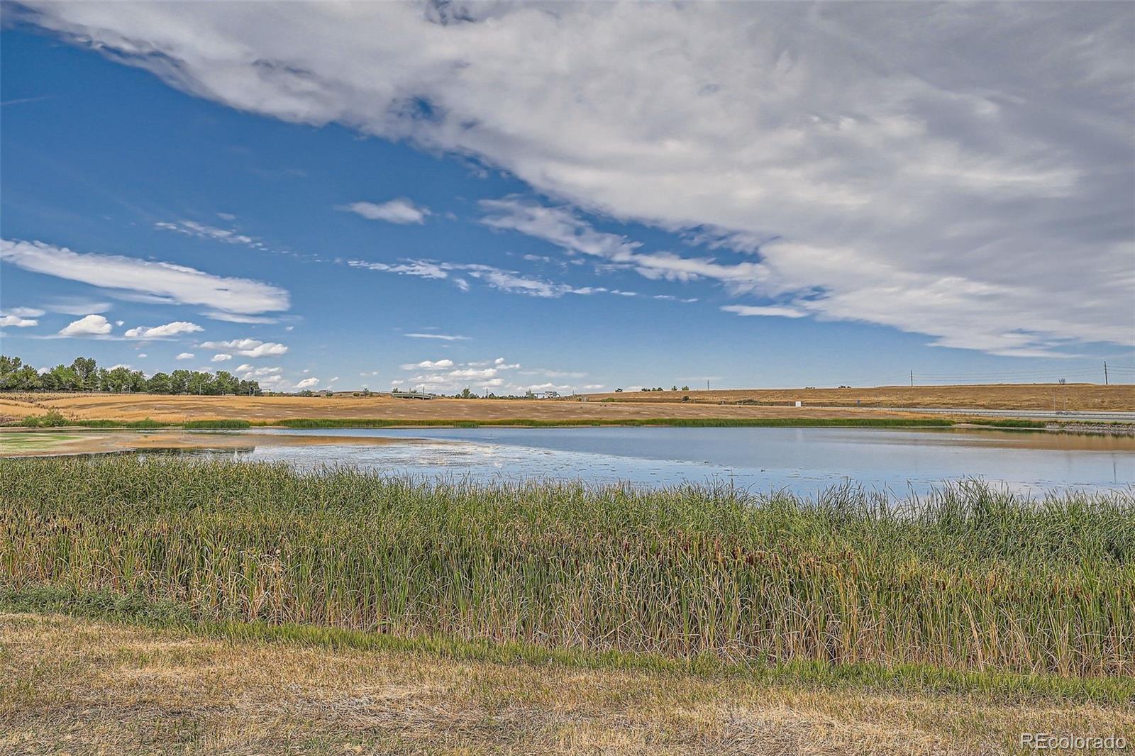 MLS Image #28 for 1603  egret way,superior, Colorado