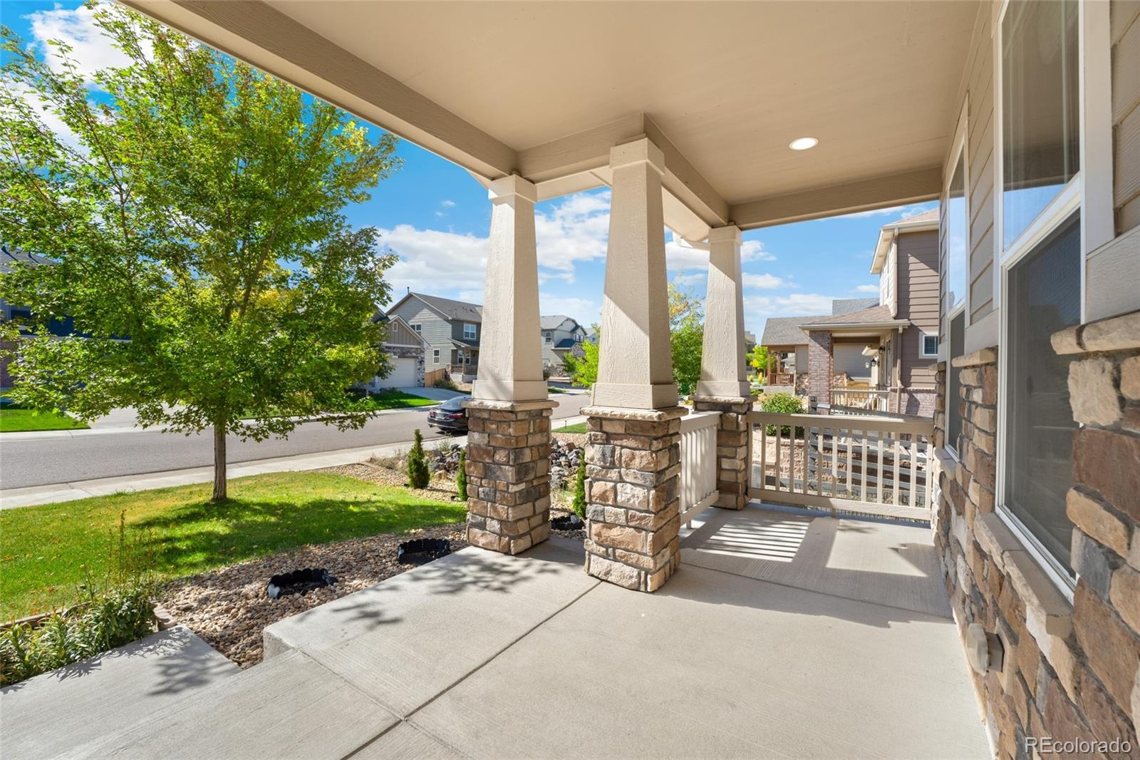 MLS Image #3 for 4380  sidewinder loop,castle rock, Colorado