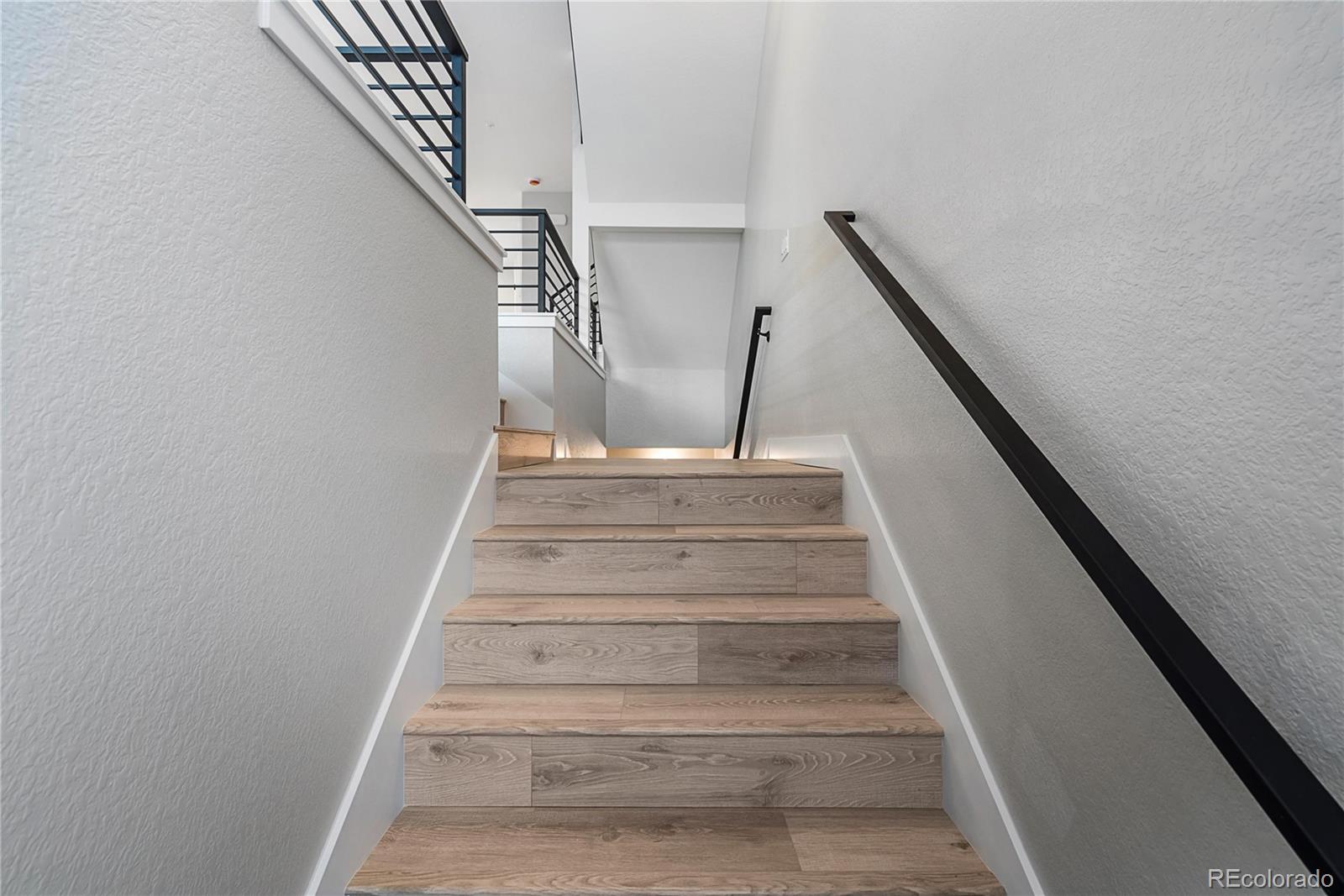 MLS Image #3 for 3833  whispering sage street,evergreen, Colorado