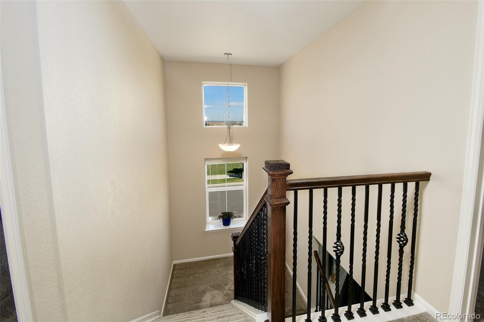 MLS Image #17 for 9938  ovid lane,littleton, Colorado