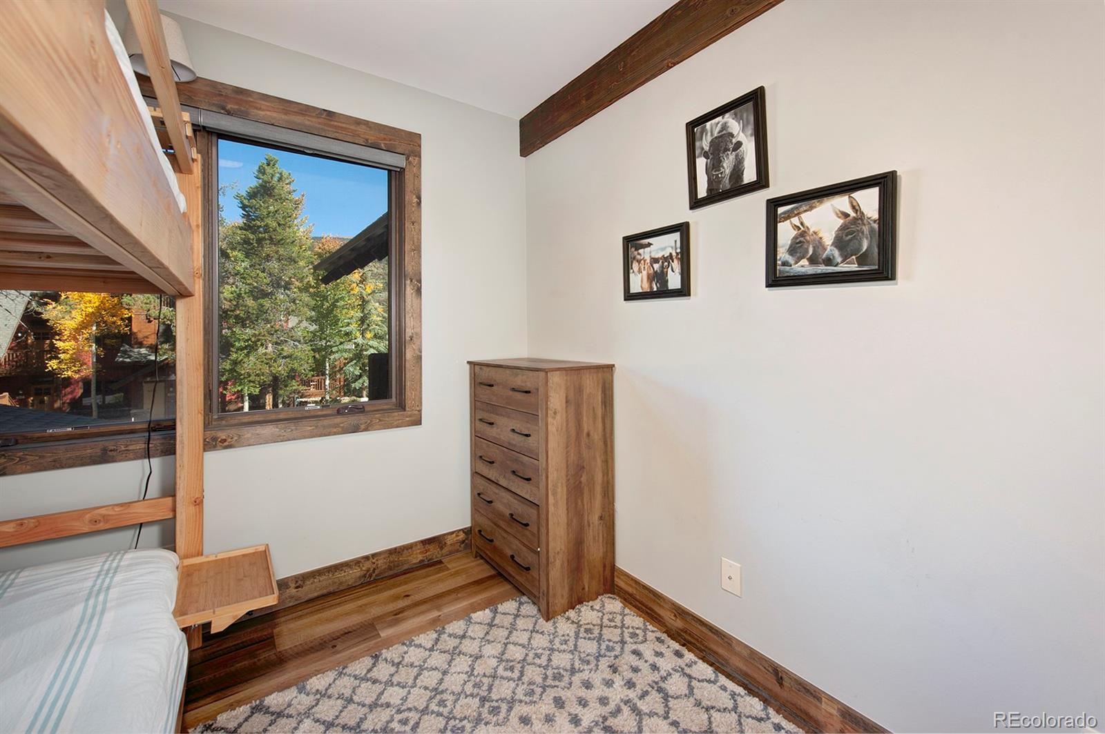 MLS Image #18 for 102  lake ridge circle,dillon, Colorado