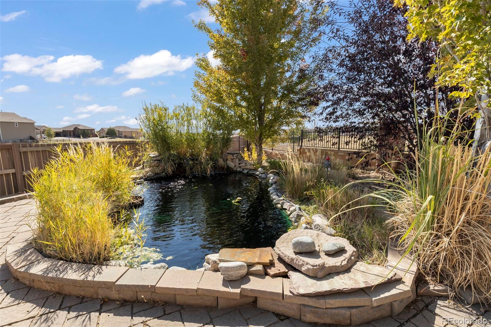 MLS Image #5 for 7704  braxton drive,fountain, Colorado