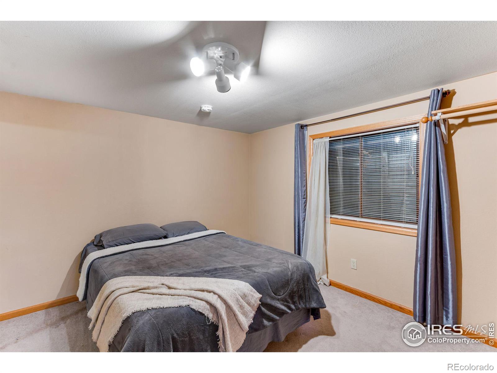 MLS Image #24 for 2616 e redbud drive,loveland, Colorado