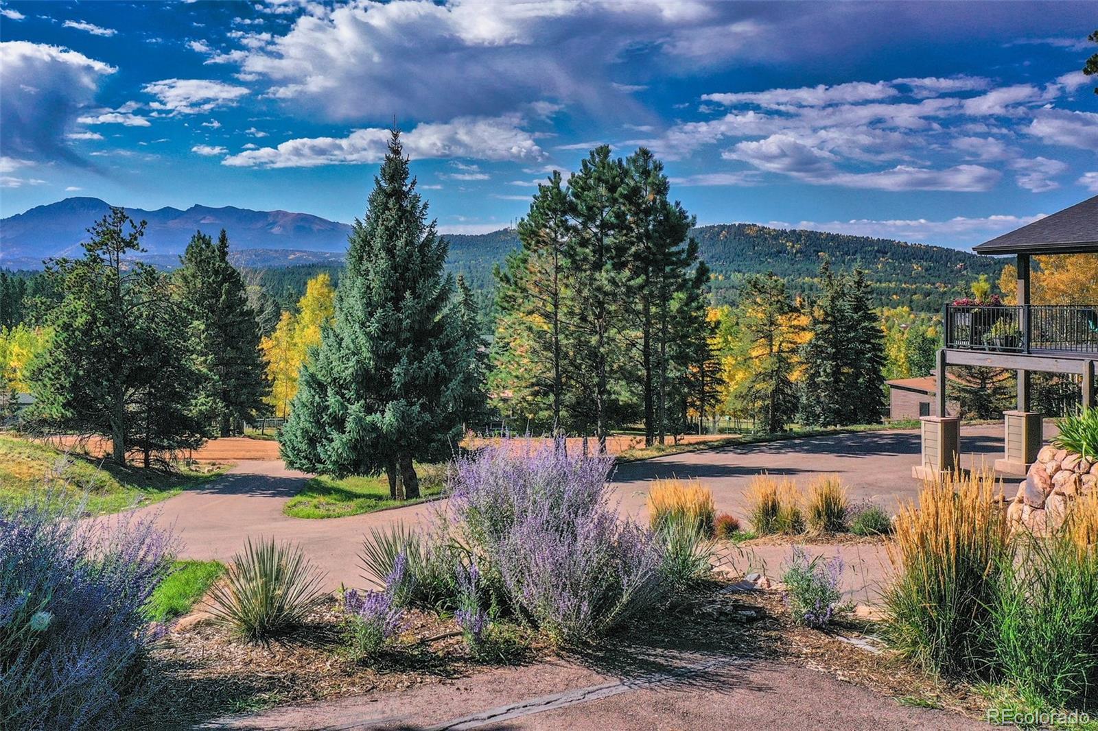 MLS Image #39 for 250  apache trail,woodland park, Colorado