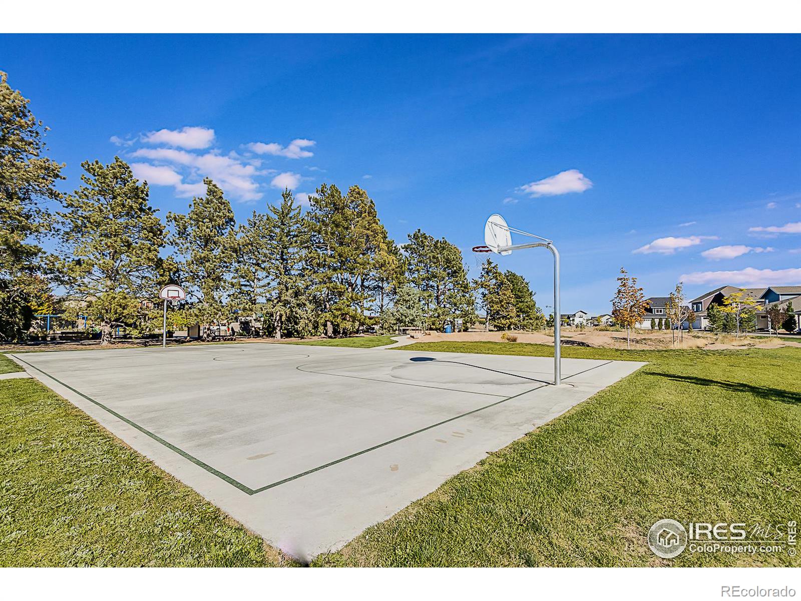 MLS Image #29 for 3312  green lake drive,fort collins, Colorado