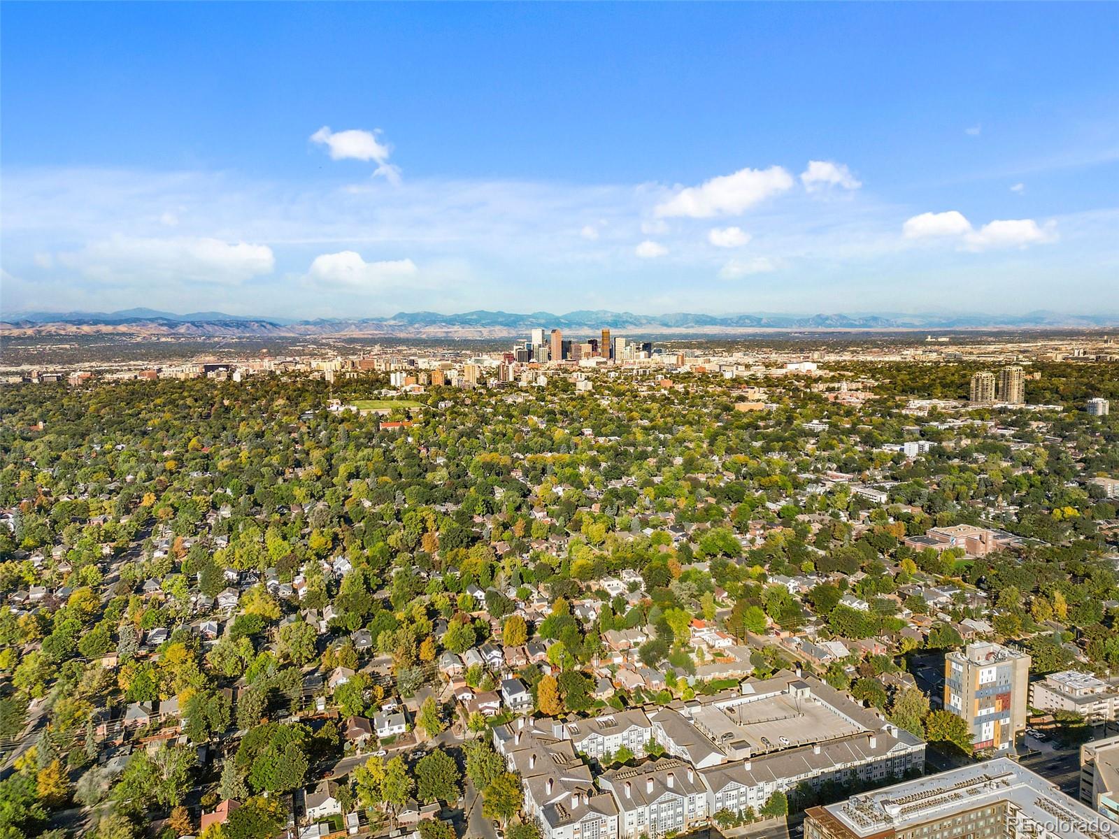 MLS Image #31 for 817  eudora street,denver, Colorado